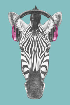 Portrait of Zebra with headphones,  hand-drawn illustration