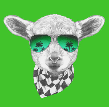 Portrait of  Lamb with sunglasses and scarf,  hand-drawn illustration