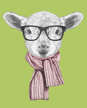 Portrait of  Lamb with glasses and scarf,  hand-drawn illustration