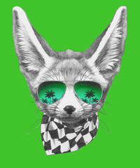 Portrait of Fennec Fox with sunglasses and scarf,  hand-drawn illustration