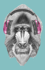 Naklejka premium Portrait of Mandrill with headphones, hand-drawn illustration