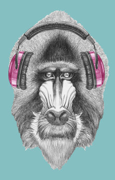 Portrait of Mandrill with headphones, hand-drawn illustration