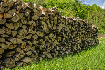 chopped wood in outside village environment 