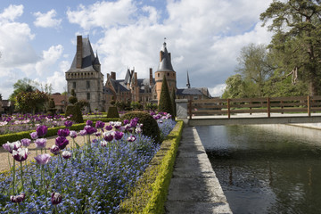 Fototapeta premium Patère de fleurs au château de madame de Maintenon 