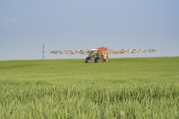 spraying wheat field