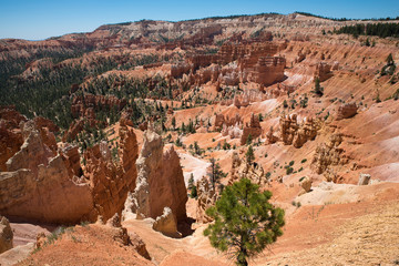 Bryce Canyon