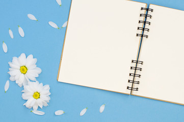 Blank spiral notepad and chamomiles blossoms on blue background, space for text, copy space