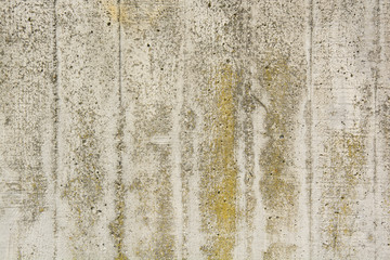 muro in cemento 3