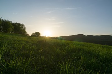 Obraz na płótnie Canvas Sunset on meadow with hills and tree. Slovakia