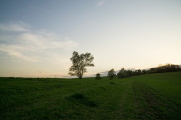 Fototapeta premium Sunset on meadow with hills and tree. Slovakia