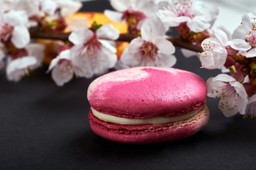 Obraz na płótnie Canvas A beautiful, fashionable, unusual, magical macaron \ macaroon with a delicate cream filling. Expensive French dessert made from almond flour on a black background. Sakura branch for decoration.