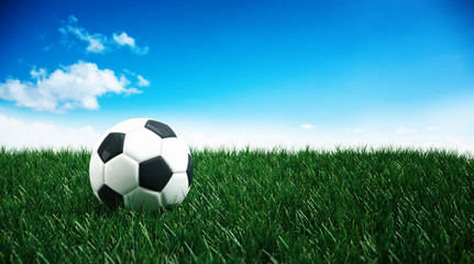 Naklejka premium Fußball liegt auf grüner Wiese