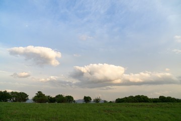 Sunset on meadow with hills and tree. Slovakia