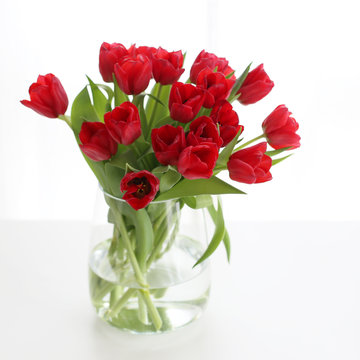 Red tulips in a glas vase