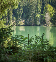 Natürlicher See mitten im Wald, quadratisch monochrom
