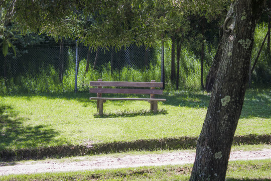 wooden bench in a park a sunny day in the middle of the trees