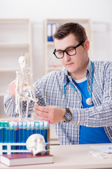 Medical student studying skeleton in classroom during lecture