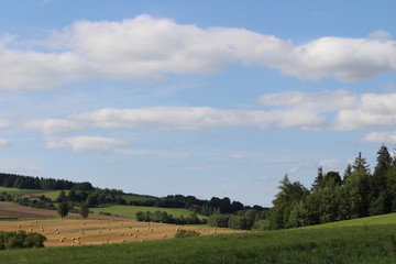 Rural view with straw bales