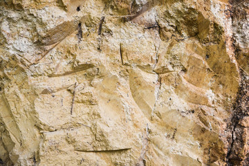 Yellow clay, cut of soil, beautiful layers of earth