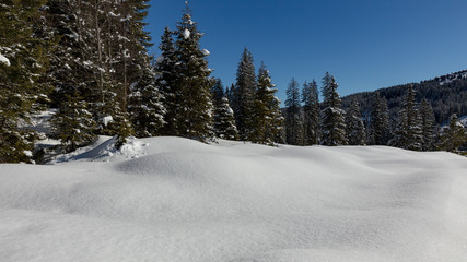 sunny winter landscape