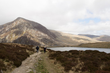 Obraz premium Snowdonia National park
