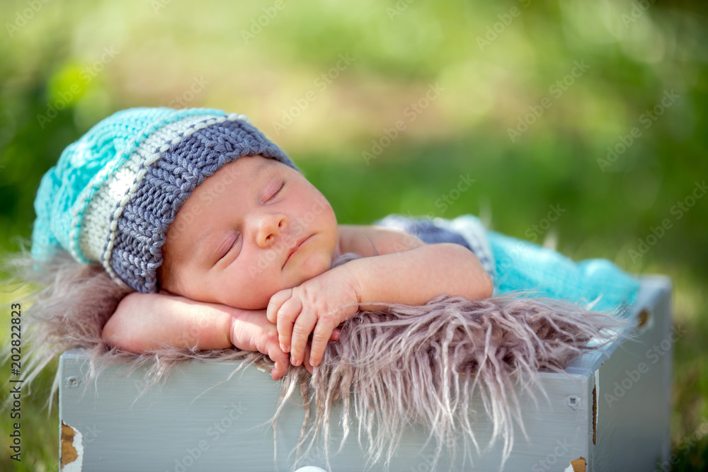 Sticker Cute newborn baby boy, sleeping peacefully in basket in garden