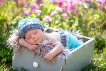 Cute newborn baby boy, sleeping peacefully in basket in garden © Tomsickova