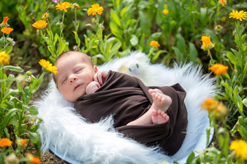 Cute newborn baby boy, sleeping peacefully in basket in garden © Tomsickova