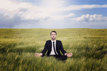 Naklejka na ściany i meble Peaceful businessman sitting in lotus pose relaxing against nature scene