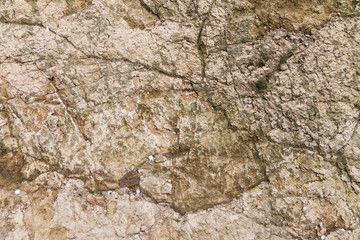 Background of a dry ground, beautiful ground textures in the cracks of dry earth