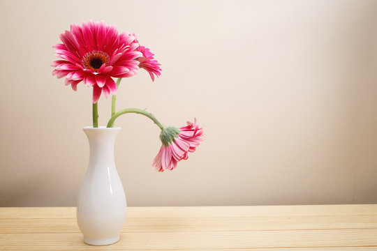 Gerbera flowers in a white vase on a wood table