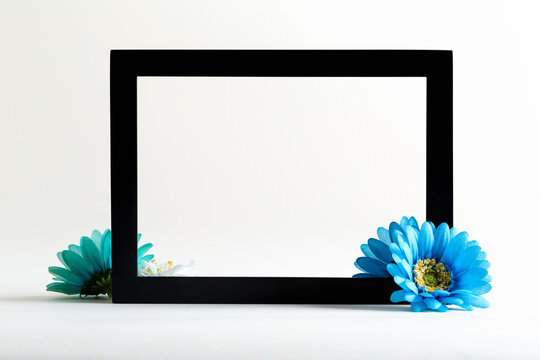 Black boarder frame with blue flower on a white background