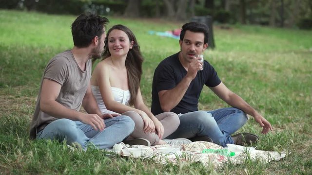 youth, carefree, happiness- Friends have a picnic at the park