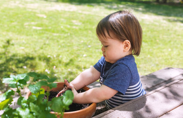 Toddler boy helping to plant plants in a garden pot