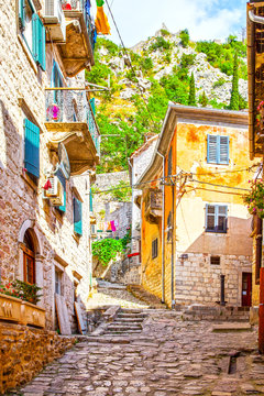Colorful street in Old town of Kotor