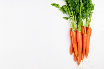 Bunch of carrots on the white background isolated