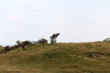 Obraz premium Landschaften hinter den Dünen