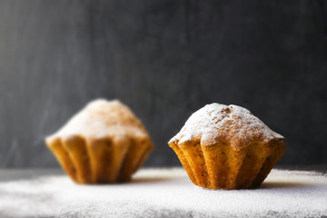 A photo of two handmade muffins with powder on the dark background. Selective soft focus, place for text, copyspace.