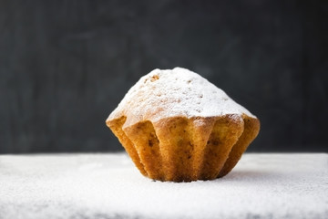 Handmade muffin with powder on the dark background.