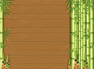 Bamboo and Bamboo Shoots on Woods Background