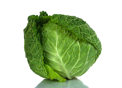 Savoy cabbage isolated on a white background