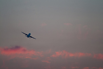 Airplane at sunset