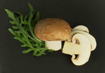 Brown mushroom with isolated on a black background