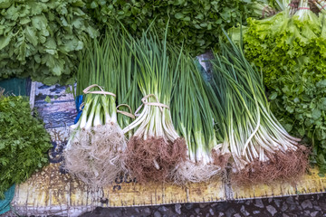Fresh green onion in Fresh market or Morning market in Luang Prabang, Laos.