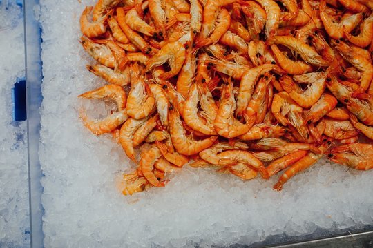 many fresh shrimps on ice tray