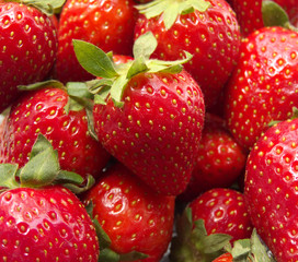 Strawberry on bunch of fresh strawberries