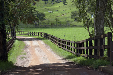 Fototapeta na wymiar Dirt road flanked by wood fence on countryside of Brazil