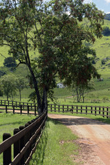 Dirt road flanked by wood fence on countryside of Brazil
