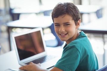 Portrait of schoolboy using laptop in classroom