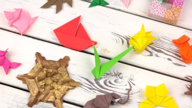 Collection of different origami models. Expositions of pupils origami objects. School origami contest.